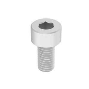 Titanium Socket Head Screw M5 x 0.80 mm Thread Size, 10mm Long图3